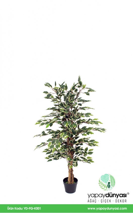 Ficus Folia Gold Green Yapay Ağaç