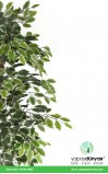 Ficus Retusa Green Cream Yapay Ağaç