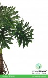 Philodendron Yapay Ağaç