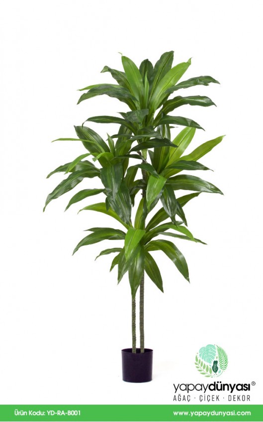 Dracena Yapay Ağaç