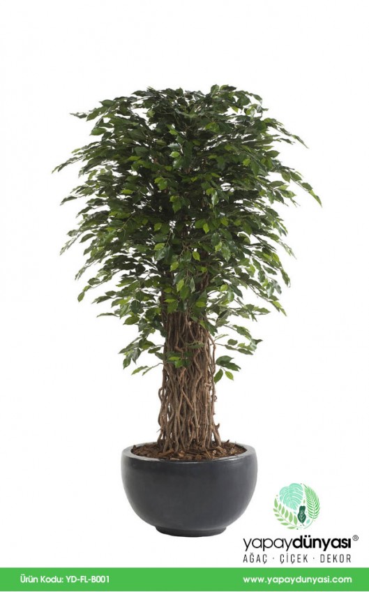 Ficus Benjamin Liana Yapay Ağaç