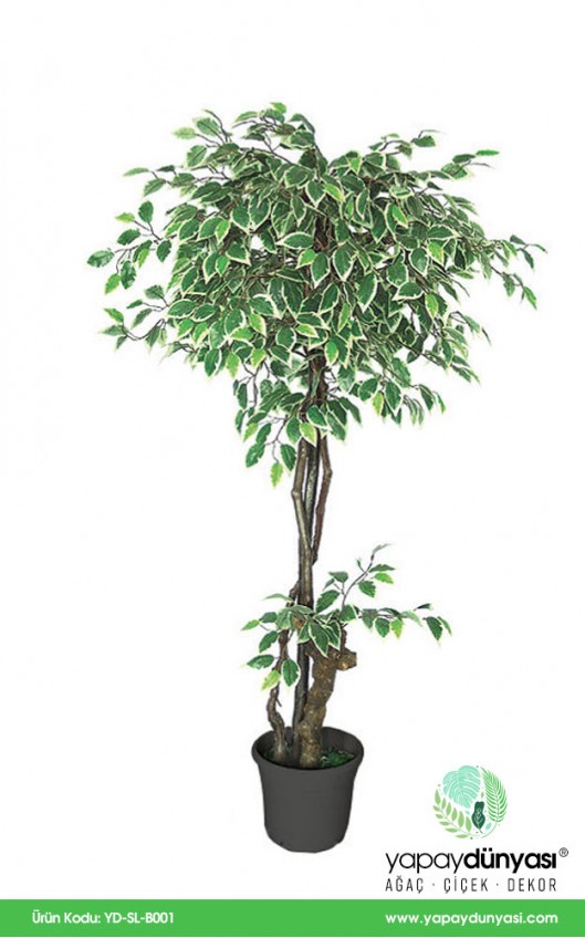 Ficus Benjamin Star Light Yapay Ağaç