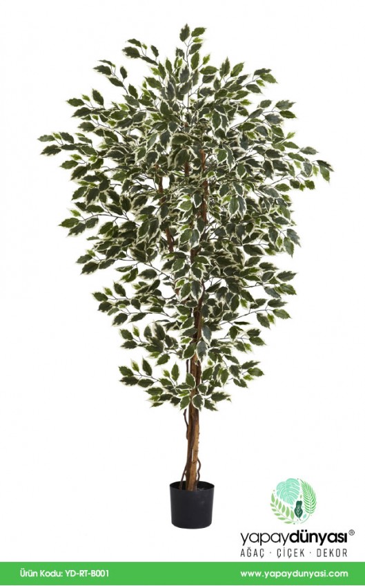 Ficus Retusa Yapay Ağaç